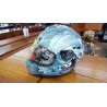CASQUE SHARK TAILLE XL/61