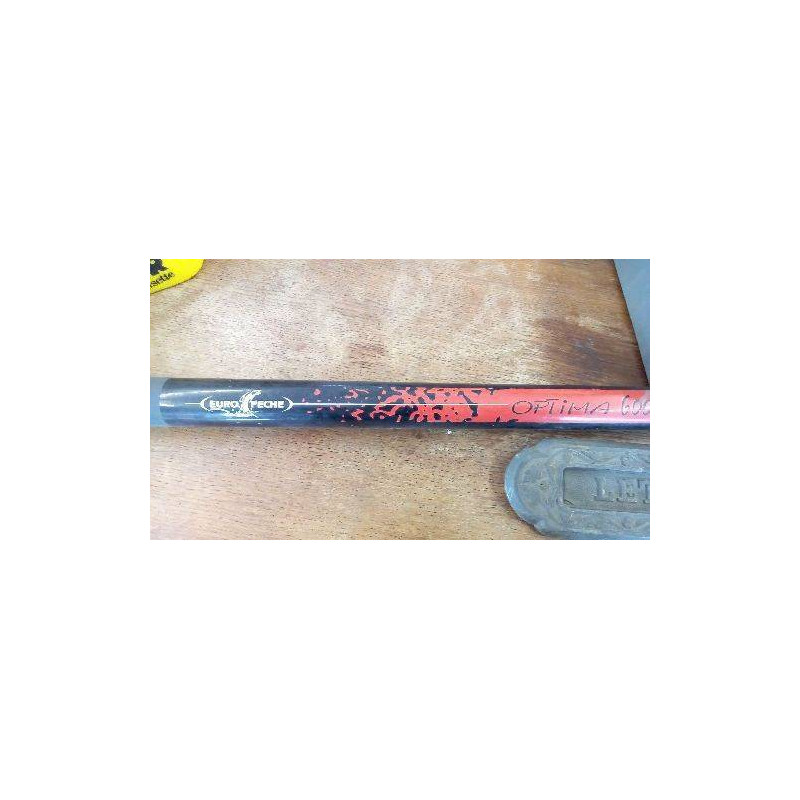 CANNE À PÊCHE 6,00M