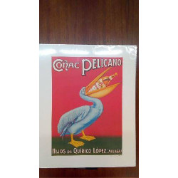 REPRO CONAC PELICANO