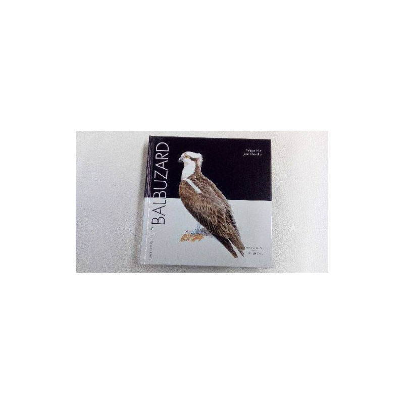 OISEAUX BALBUZARD