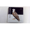 OISEAUX BALBUZARD