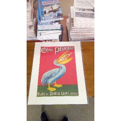 REPRO CONAC PELICANO