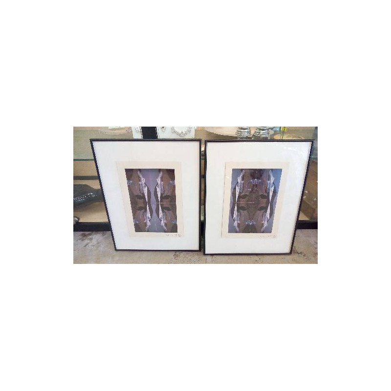 PAIRE DE MONTAGES PHOTO