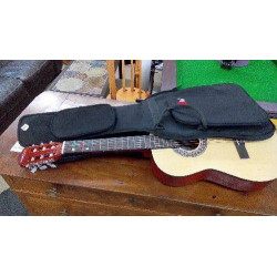 GUITARE STRETTON PAYNE