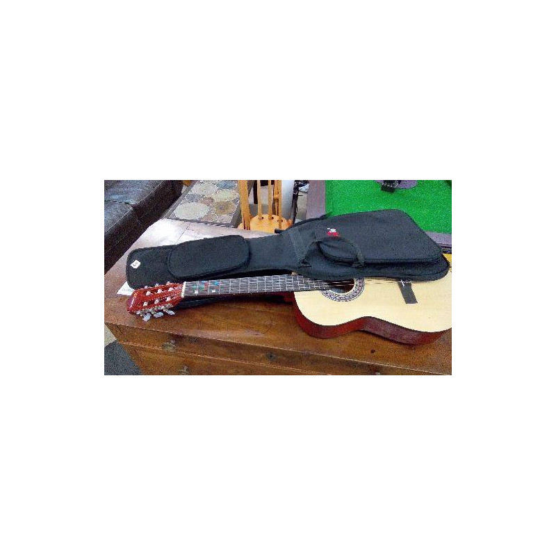 GUITARE STRETTON PAYNE