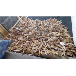 TAPIS LANIÈRES DE CUIR