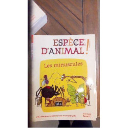 EA 02 LES MINUSCULES