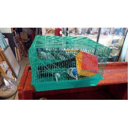 CAGE RONGEURS COMPLÈTE