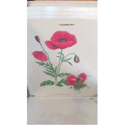 REPRO COQUELICOT (LES...