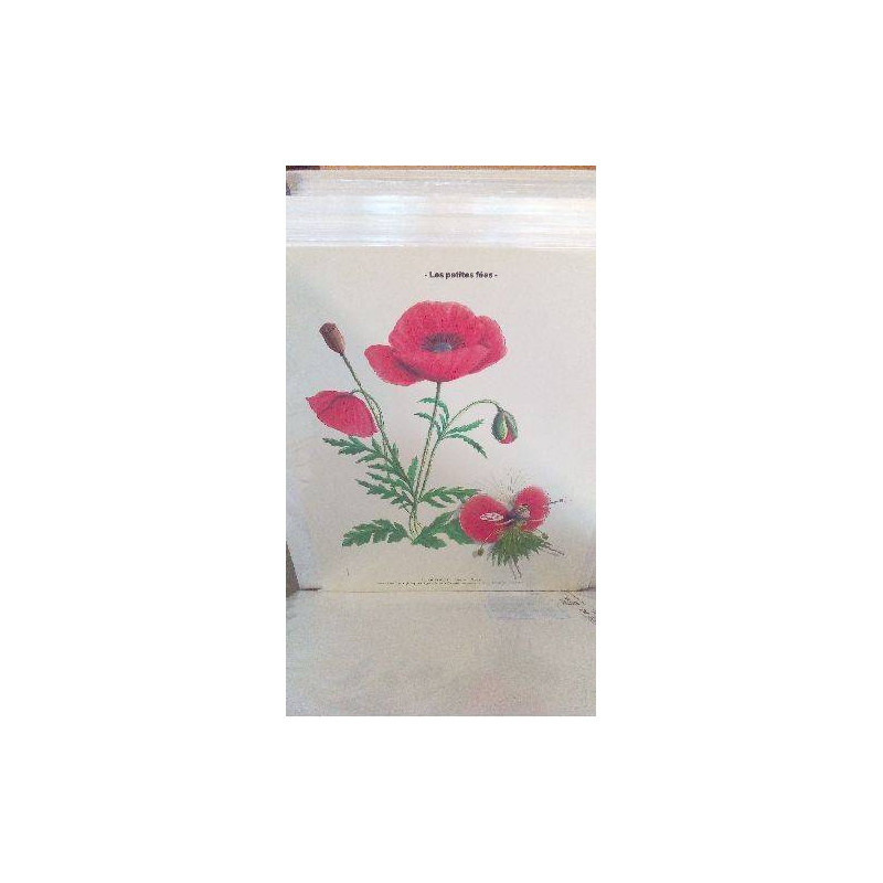 REPRO COQUELICOT (LES PETITES FEES)