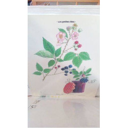 REPRO RONCE COMMUNE (LES...