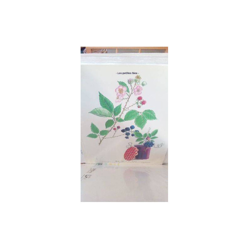 REPRO RONCE COMMUNE (LES PETITES...