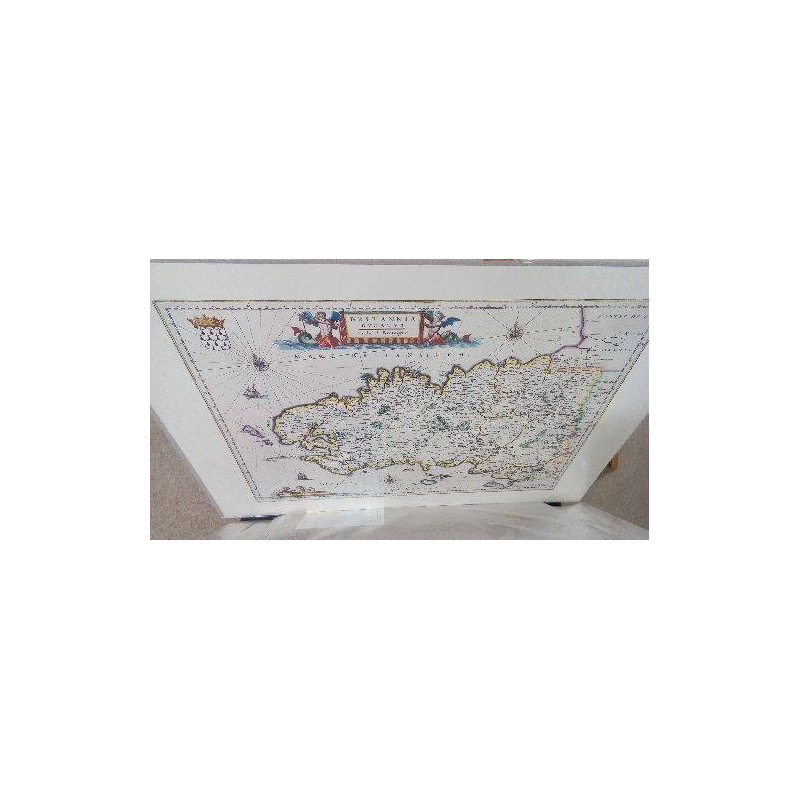 REPRO BRITANNIA DUCOTUS (GM)