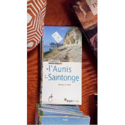 CURIOSITES AUNIS ET SAINTONGE