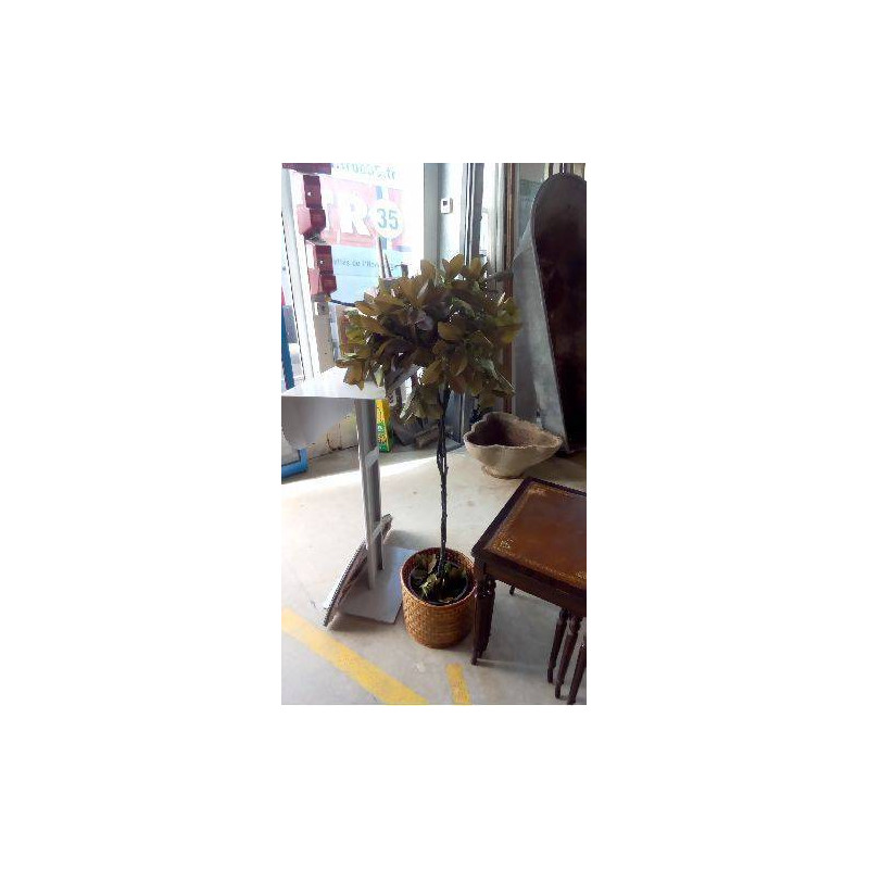PLANTE ARTIFICIELLE