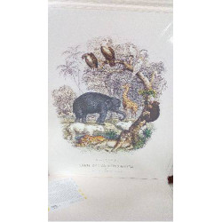 REPRO HISTORY OF EARTH AND...