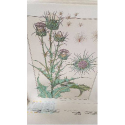 REPRO MPV 3 CHARDON...