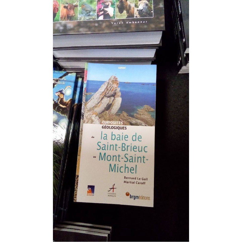 CURIOSITES BAIE DE SAINT-BRIEUC ET MONT ST MICHEL