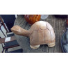 TORTUE EN BOIS EXOTIQUE