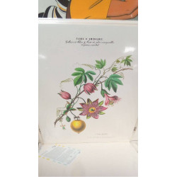 REPRO POMME GRENADILLE...