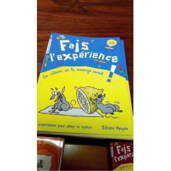 FE 3 - FAIS L\'EXPERIENCE 3
