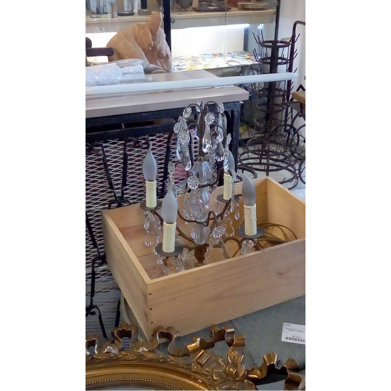 GIRANDOLE ÉLECTRIFIÉE