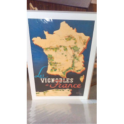 REPRO VIGNOBLES DE FRANCE (GM)