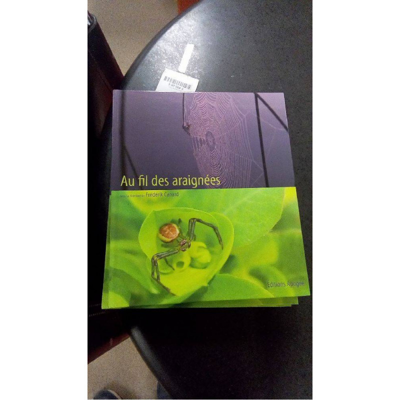 AU FIL DES ARAIGNEES
