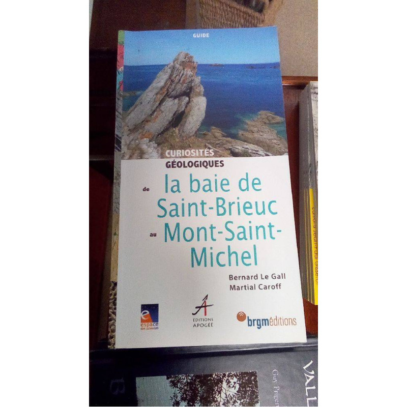 CURIOSITES BAIE DE SAINT-BRIEUC ET MONT ST MICHEL