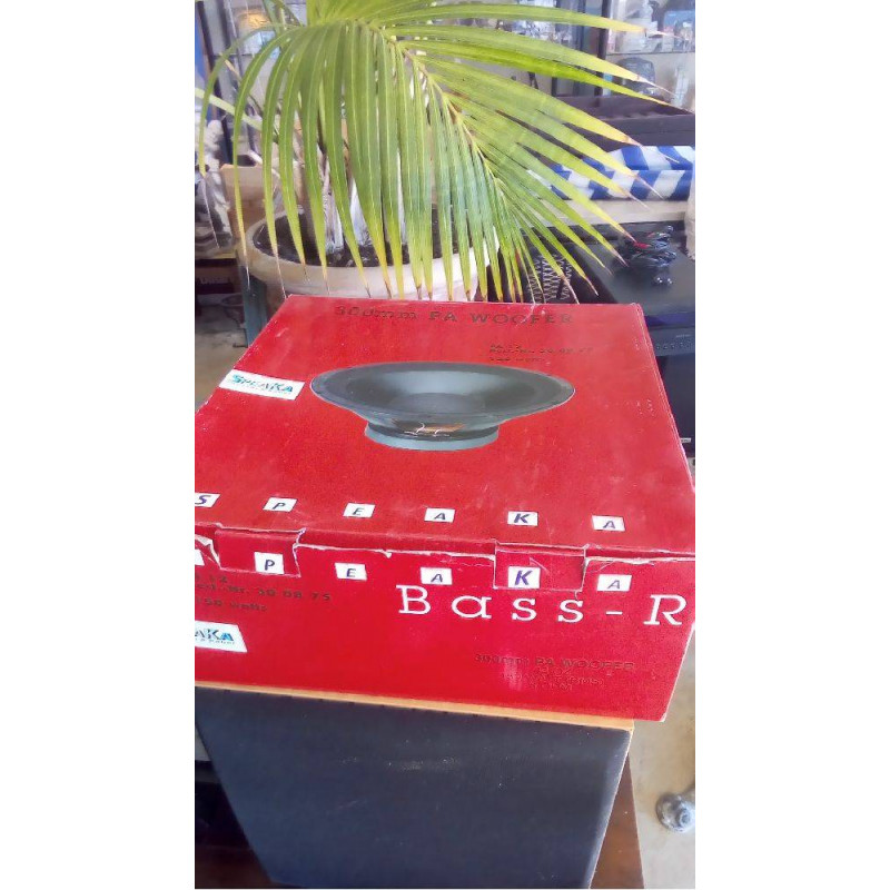 HAUT PARLEUR BASS 300MM HI-FI ÉTAT NEUF