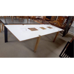 TABLE DE DESIGNER 290X100...