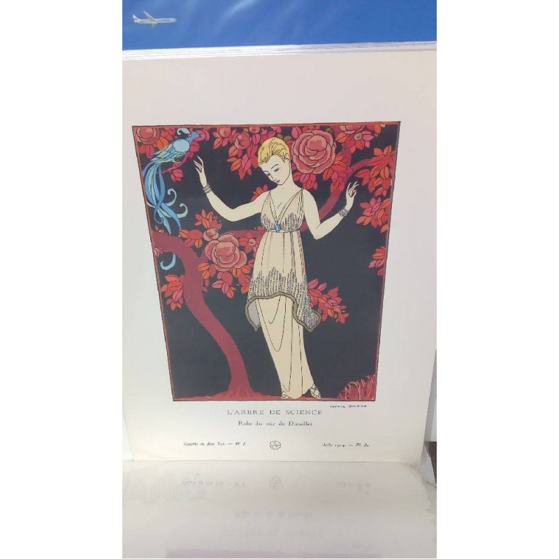 (40X50) MPL80 ARBRE DE SCIENCE