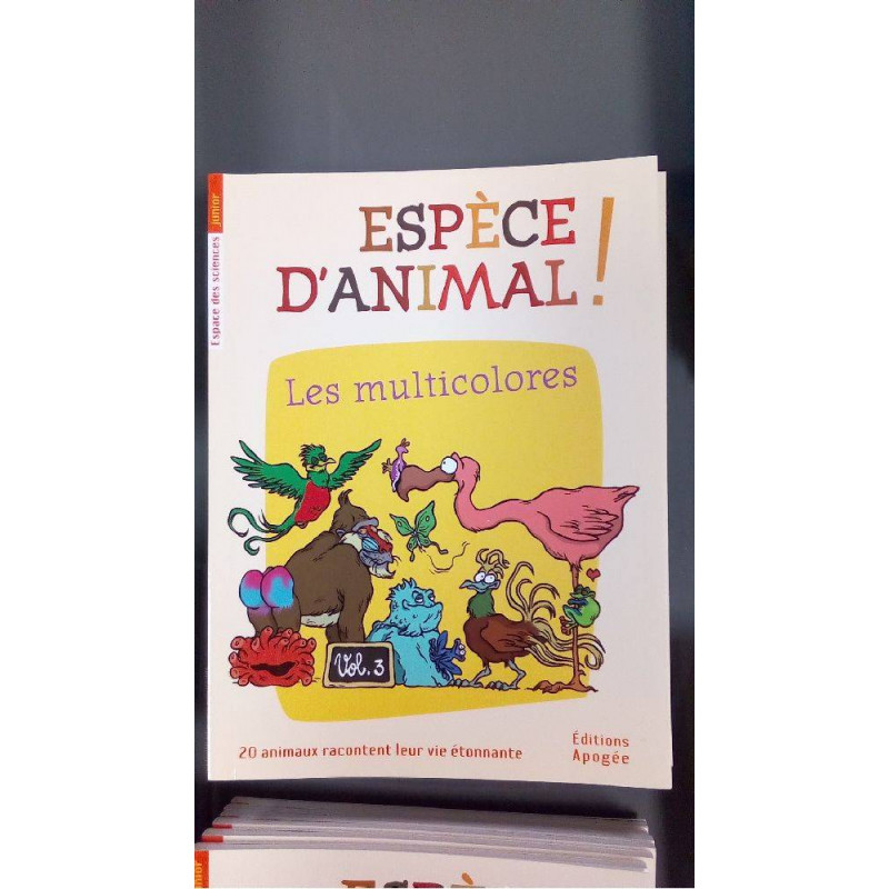 EA 03 - LES MULTICOLORES