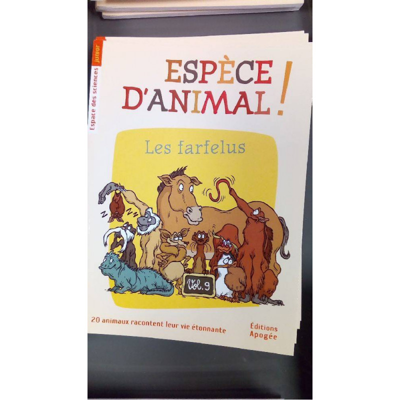 EA 09 - LES FARFELUS