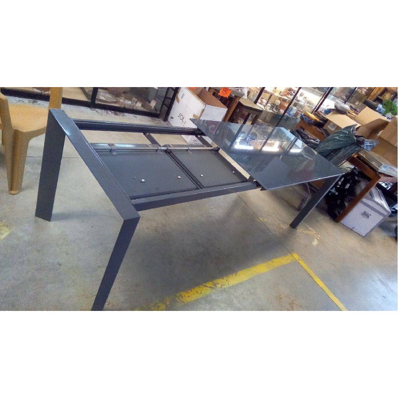 TABLE VERRE AVEC 2 ALLONGES PAPILLON