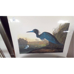 REPRO BLUE CRANE OR HERON