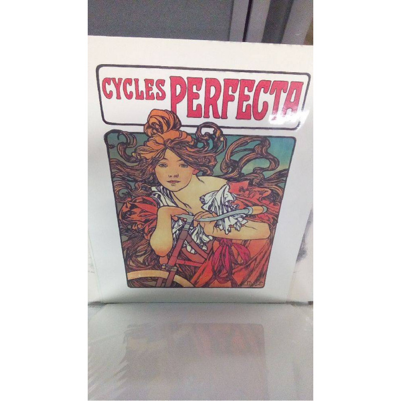REPRO CYCLES PERFECTA