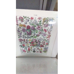 REPRO FLEURS ET ABRISSEAUX