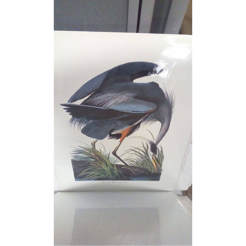 REPRO GREAT BLUE HERON