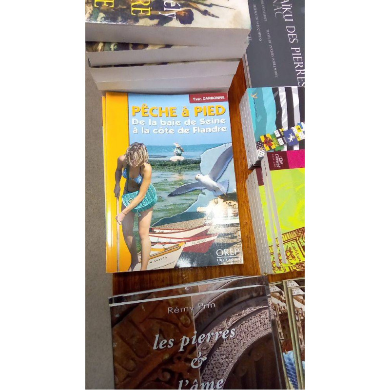 PECHE A PIED DE LA BAIE DE SEINE