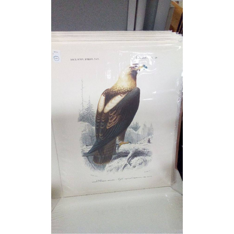 REPRO AIGLE IMPERIAL