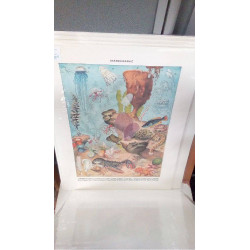 REPRO OCEANOGRAPHIE 2 SURFACE