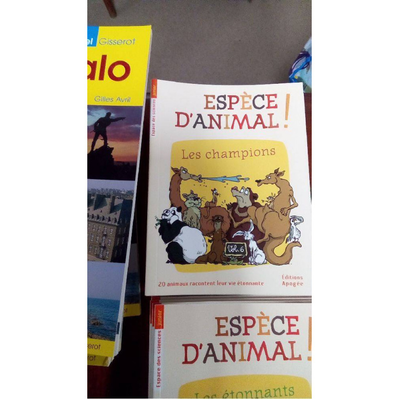 EA 06 - LES CHAMPIONS