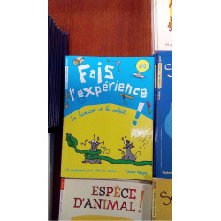 FE 6 - FAIS L\'EXPERIENCE 6