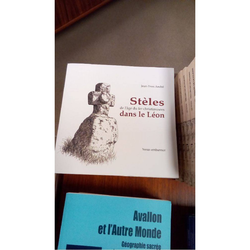 STELES  DANS LE LEON