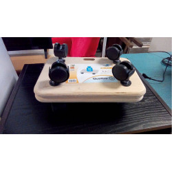 PAIRE DE PLATEAUX ROULANTS