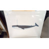 REPRO BALEINE BLEUE