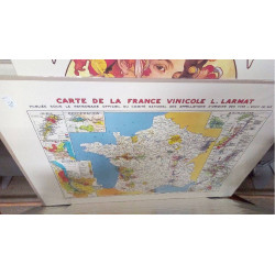 REPRO FRANCE 6 VINICOLE (GM)