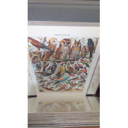 REPRO OISEAUX 1 CHOUETTE (GM)