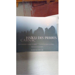 HAIKU DES PIERRES